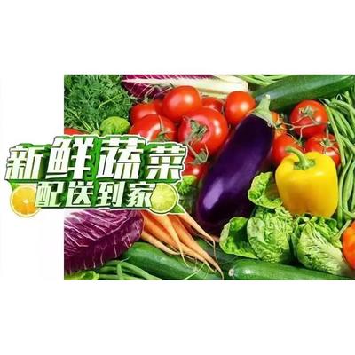 梅州生鲜果蔬配送 新鲜蔬菜直达工厂食堂