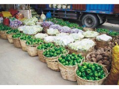 清远市佛冈汤塘工厂蔬菜配送公司 顺嘉兴饮食服务中国贸易网，新鲜蔬菜直达餐桌