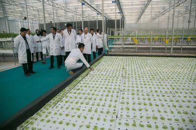 邓海光副省长调研春沐源，关注广东省新鲜蔬菜产业发展