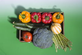 新鲜蔬菜组合摄影图下载模板 打造饮食与健康视觉盛宴