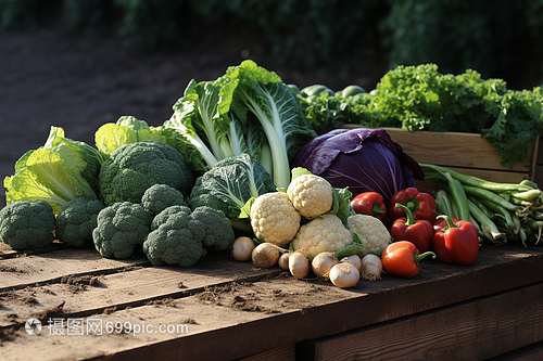 新鲜蔬菜 餐桌上的绿色宝藏