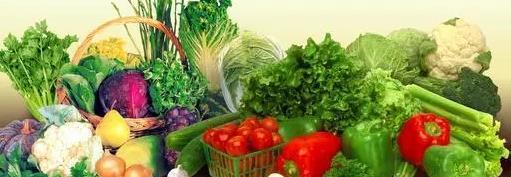 菜到家 以新鲜与便利，重塑您的餐桌日常