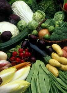 白菜纹理背景图片 探索自然美学与创意设计的清新素材