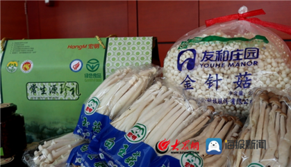 鲁力助农 年产量30多万吨！邹城蘑菇 舌尖上的养生圣品与绿色健康守护者